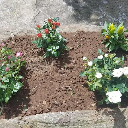 Mirador De Rouris Maison d'hôtes